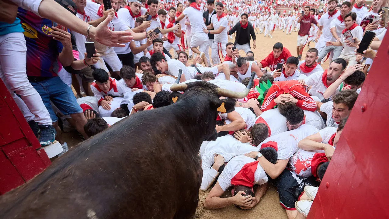 Suelta de vaquillas en la Plaza de Toros de Pamplona tras el sexto encierro de San Fermín 2025 con toros de la ganadería de José Escolar. IÑIGO ALZUGARAY