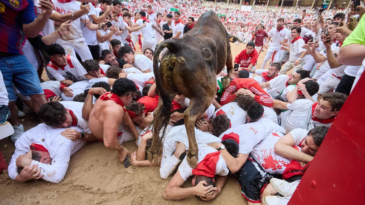 Suelta de vaquillas en la Plaza de Toros de Pamplona tras el sexto encierro de San Fermín 2025 con toros de la ganadería de José Escolar. IÑIGO ALZUGARAY