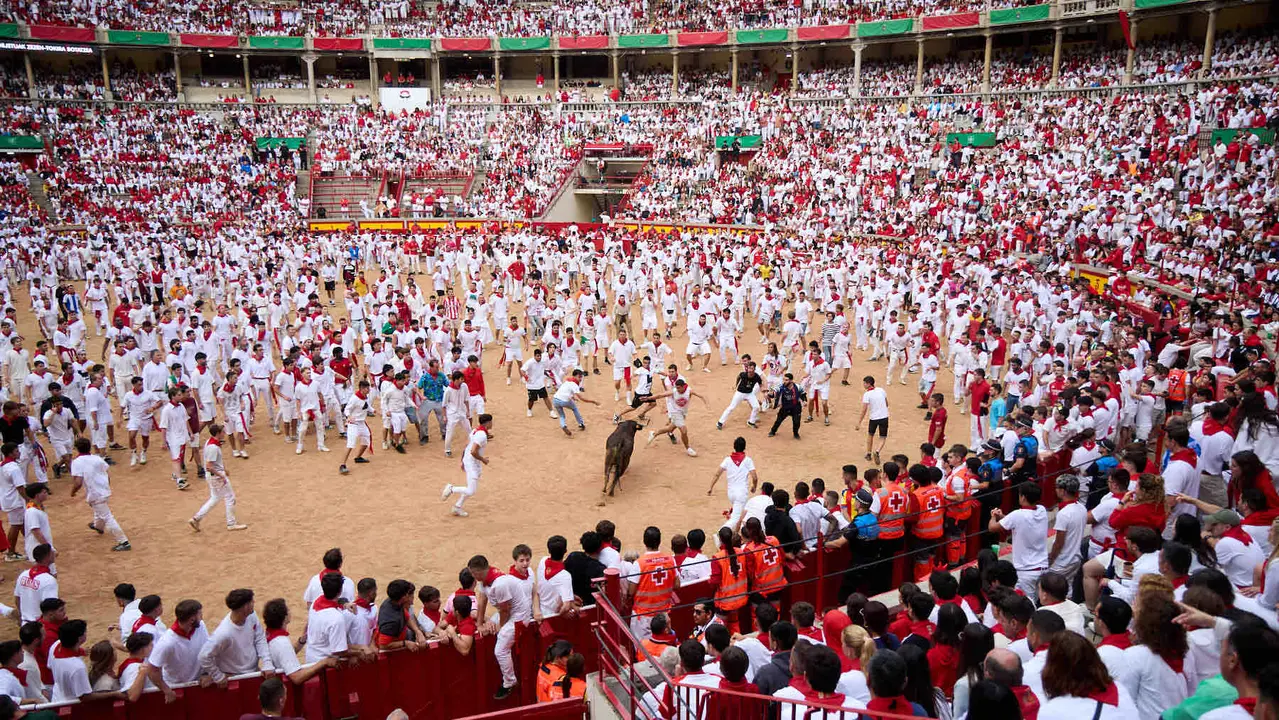 Suelta de vaquillas en la Plaza de Toros de Pamplona tras el sexto encierro de San Fermín 2025 con toros de la ganadería de José Escolar. IÑIGO ALZUGARAY