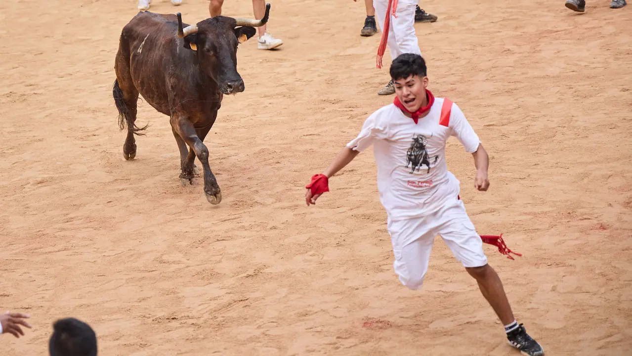 Suelta de vaquillas en la Plaza de Toros de Pamplona tras el sexto encierro de San Fermín 2025 con toros de la ganadería de José Escolar. IÑIGO ALZUGARAY