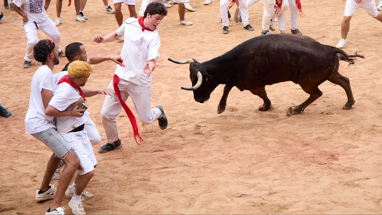 Suelta de vaquillas en la Plaza de Toros de Pamplona tras el sexto encierro de San Fermín 2025 con toros de la ganadería de José Escolar. IÑIGO ALZUGARAY