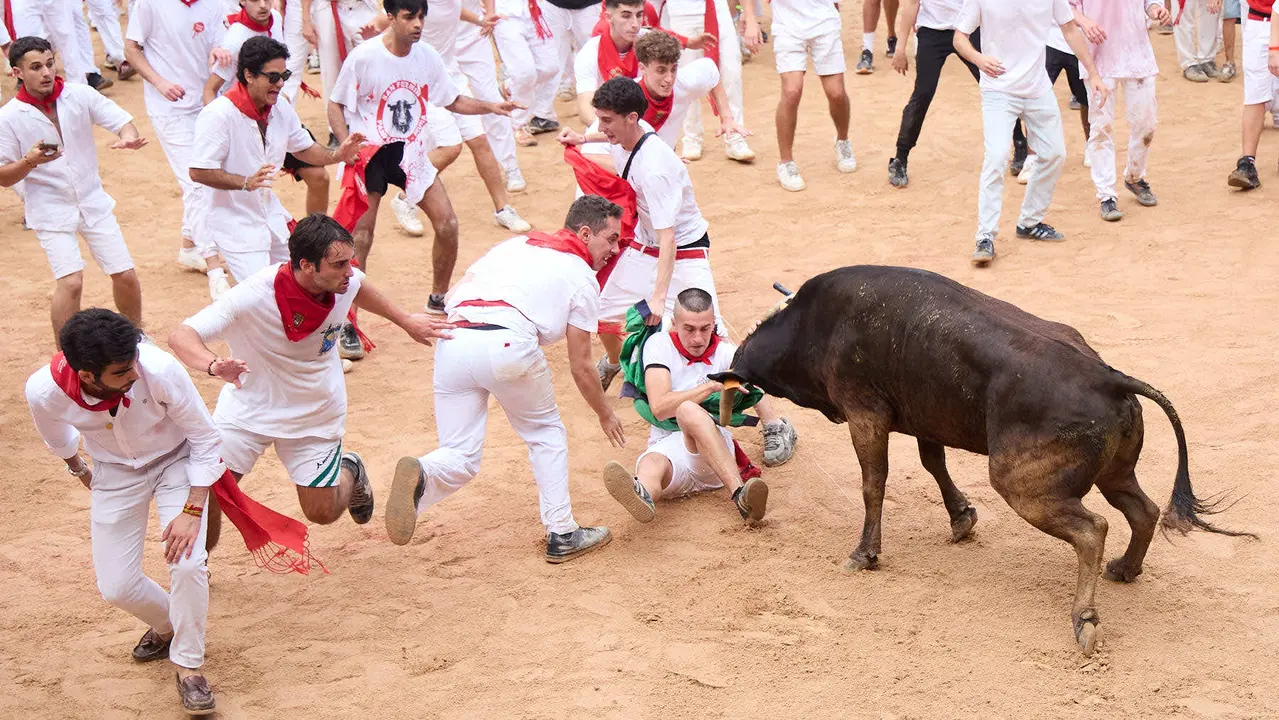 Suelta de vaquillas en la Plaza de Toros de Pamplona tras el sexto encierro de San Fermín 2025 con toros de la ganadería de José Escolar. IÑIGO ALZUGARAY