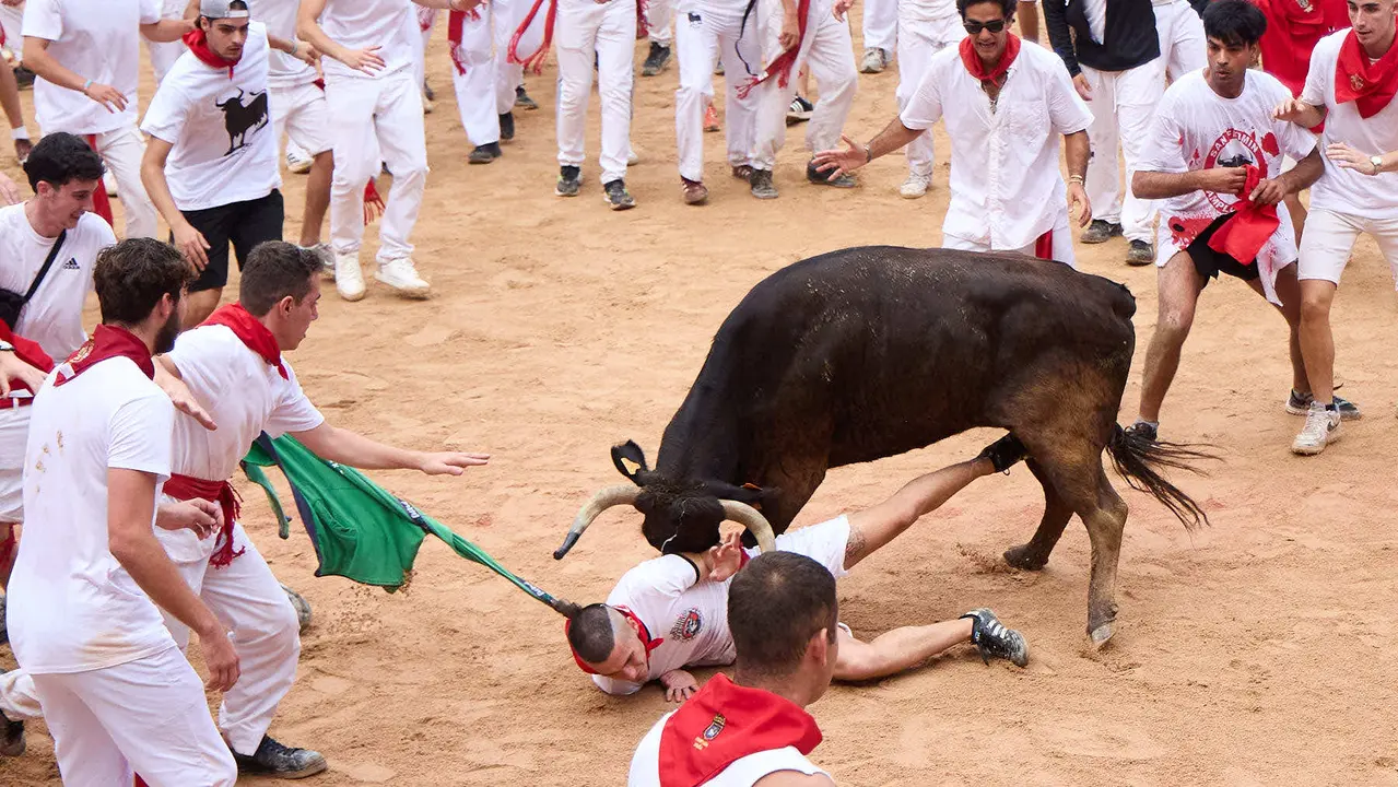 Suelta de vaquillas en la Plaza de Toros de Pamplona tras el sexto encierro de San Fermín 2025 con toros de la ganadería de José Escolar. IÑIGO ALZUGARAY