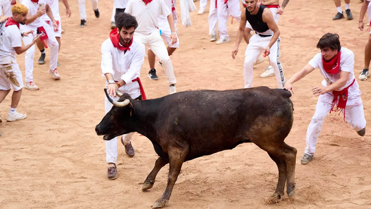 Suelta de vaquillas en la Plaza de Toros de Pamplona tras el sexto encierro de San Fermín 2025 con toros de la ganadería de José Escolar. IÑIGO ALZUGARAY