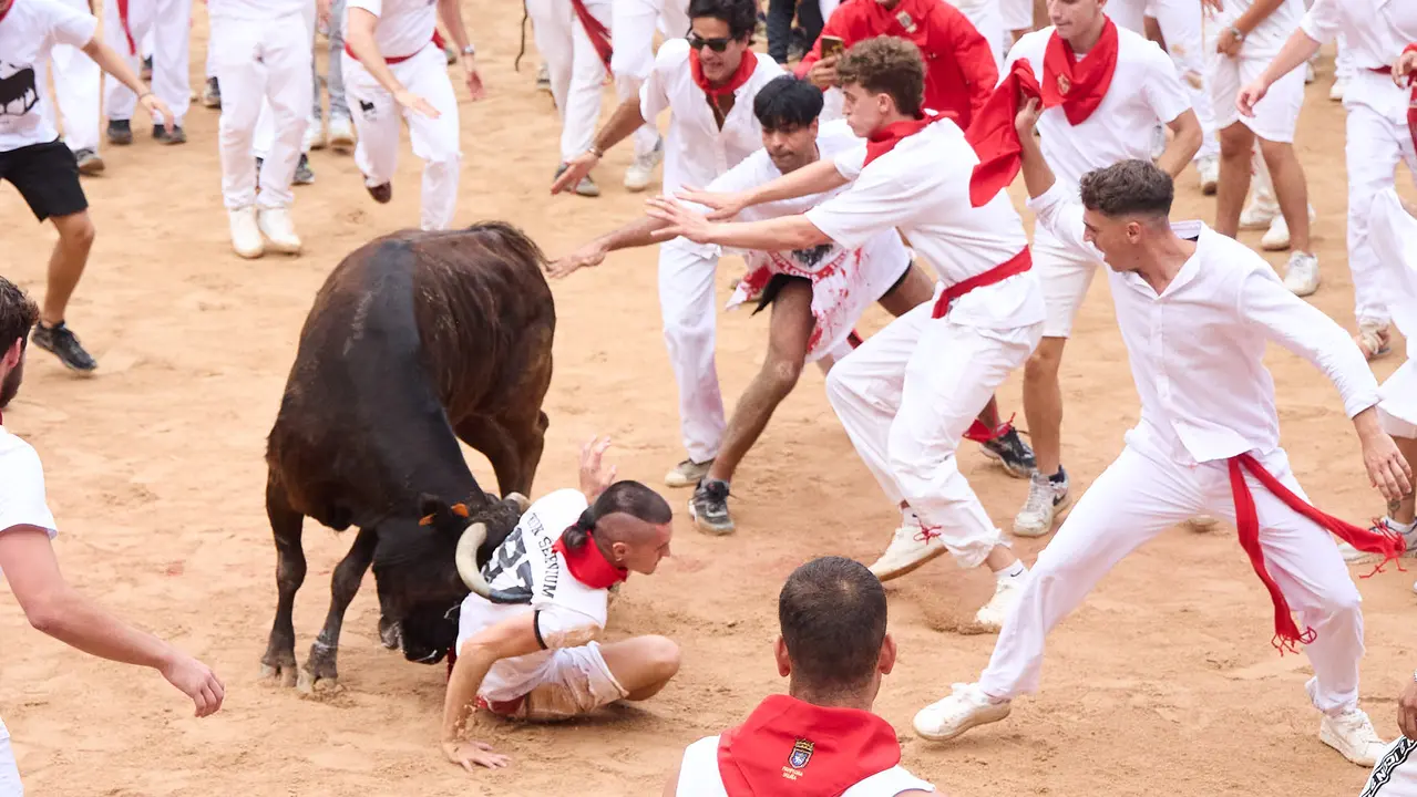 Suelta de vaquillas en la Plaza de Toros de Pamplona tras el sexto encierro de San Fermín 2025 con toros de la ganadería de José Escolar. IÑIGO ALZUGARAY