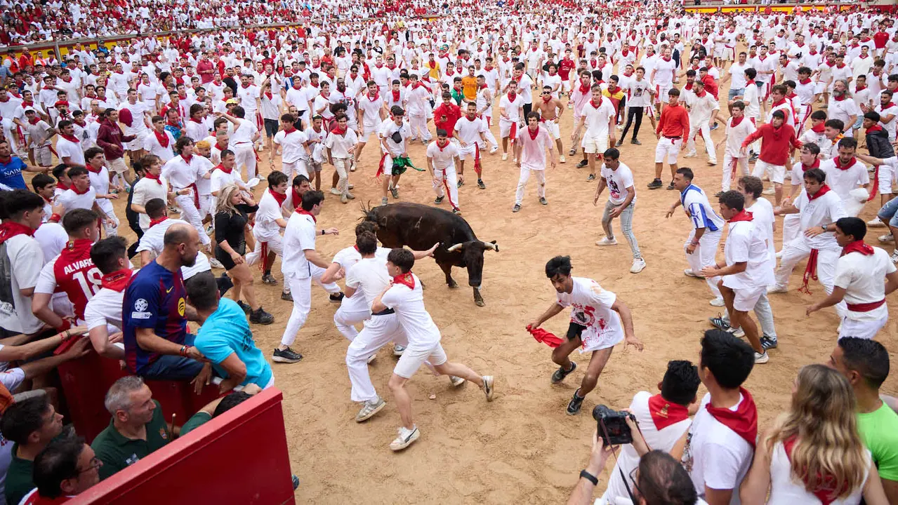 Suelta de vaquillas en la Plaza de Toros de Pamplona tras el sexto encierro de San Fermín 2025 con toros de la ganadería de José Escolar. IÑIGO ALZUGARAY