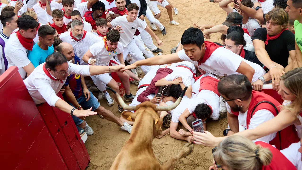 Suelta de vaquillas en la Plaza de Toros de Pamplona tras el sexto encierro de San Fermín 2025 con toros de la ganadería de José Escolar. IÑIGO ALZUGARAY