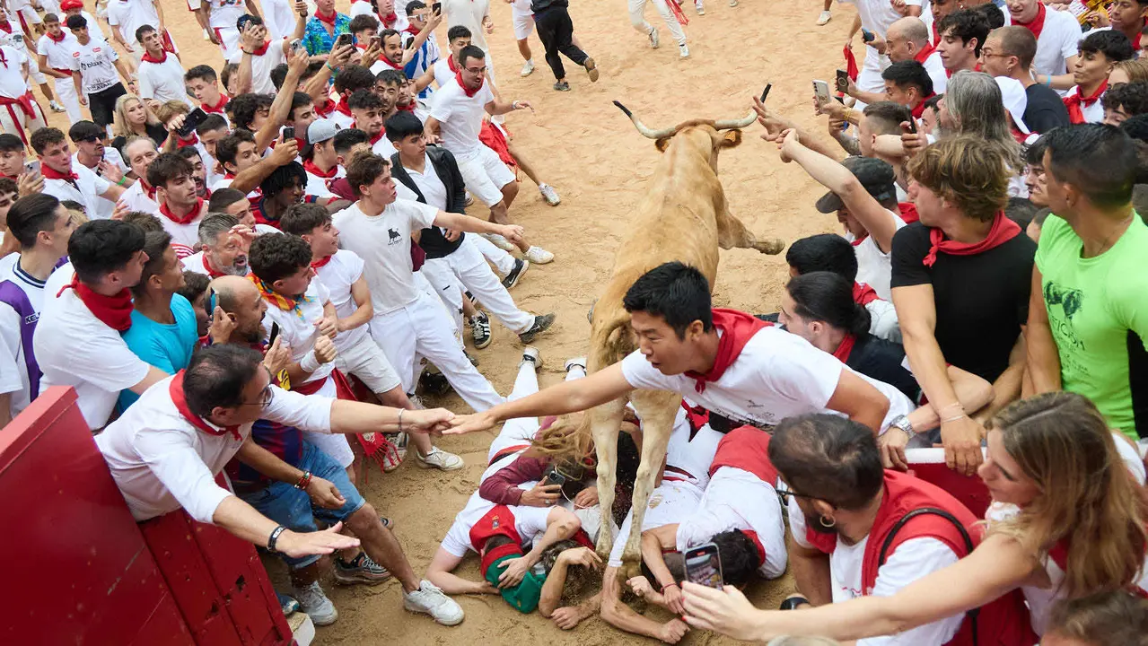 Suelta de vaquillas en la Plaza de Toros de Pamplona tras el sexto encierro de San Fermín 2025 con toros de la ganadería de José Escolar. IÑIGO ALZUGARAY