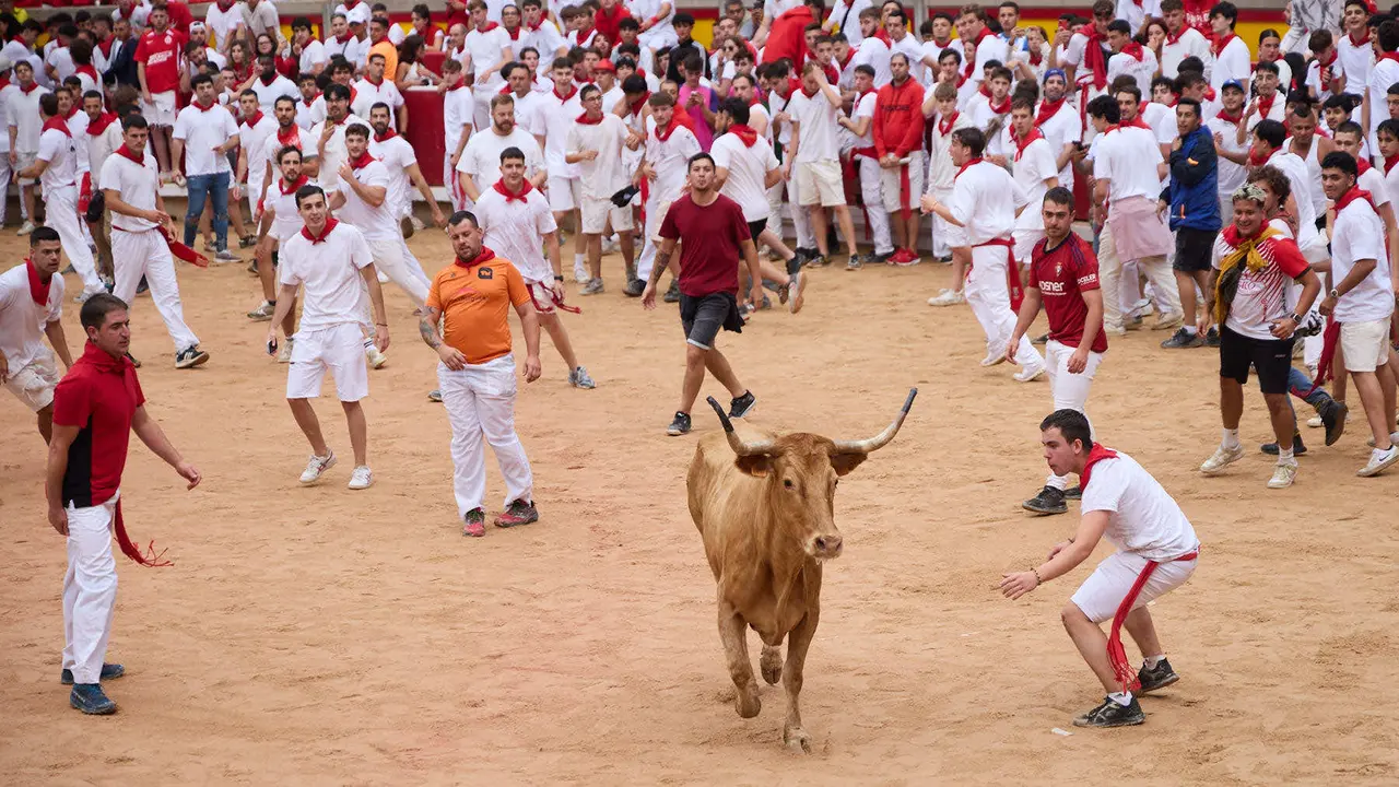 Suelta de vaquillas en la Plaza de Toros de Pamplona tras el sexto encierro de San Fermín 2025 con toros de la ganadería de José Escolar. IÑIGO ALZUGARAY