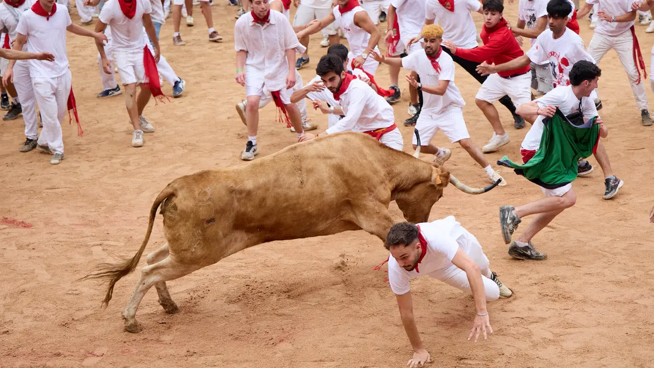 Suelta de vaquillas en la Plaza de Toros de Pamplona tras el sexto encierro de San Fermín 2025 con toros de la ganadería de José Escolar. IÑIGO ALZUGARAY