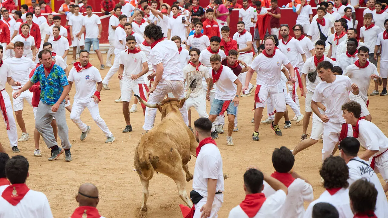 Suelta de vaquillas en la Plaza de Toros de Pamplona tras el sexto encierro de San Fermín 2025 con toros de la ganadería de José Escolar. IÑIGO ALZUGARAY