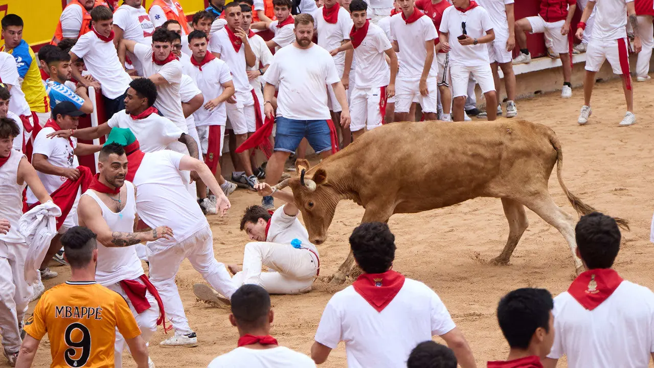 Suelta de vaquillas en la Plaza de Toros de Pamplona tras el sexto encierro de San Fermín 2025 con toros de la ganadería de José Escolar. IÑIGO ALZUGARAY