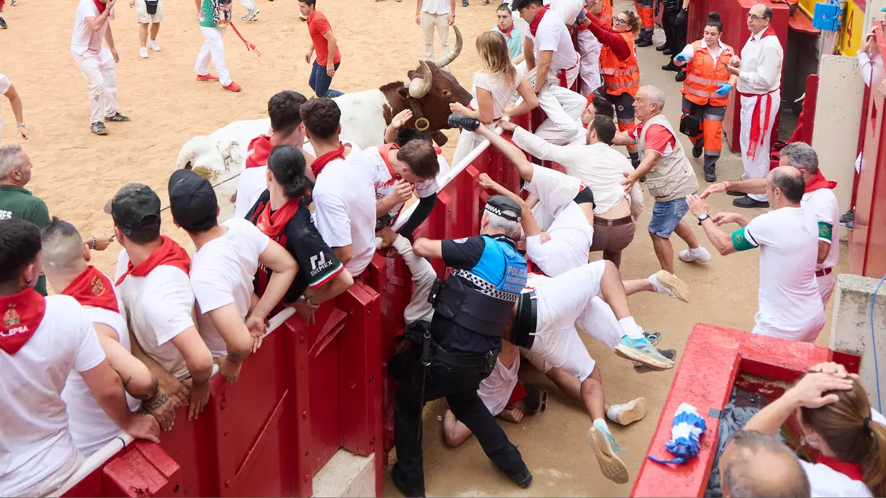 Suelta de vaquillas en la Plaza de Toros de Pamplona tras el sexto encierro de San Fermín 2025 con toros de la ganadería de José Escolar. IÑIGO ALZUGARAY
