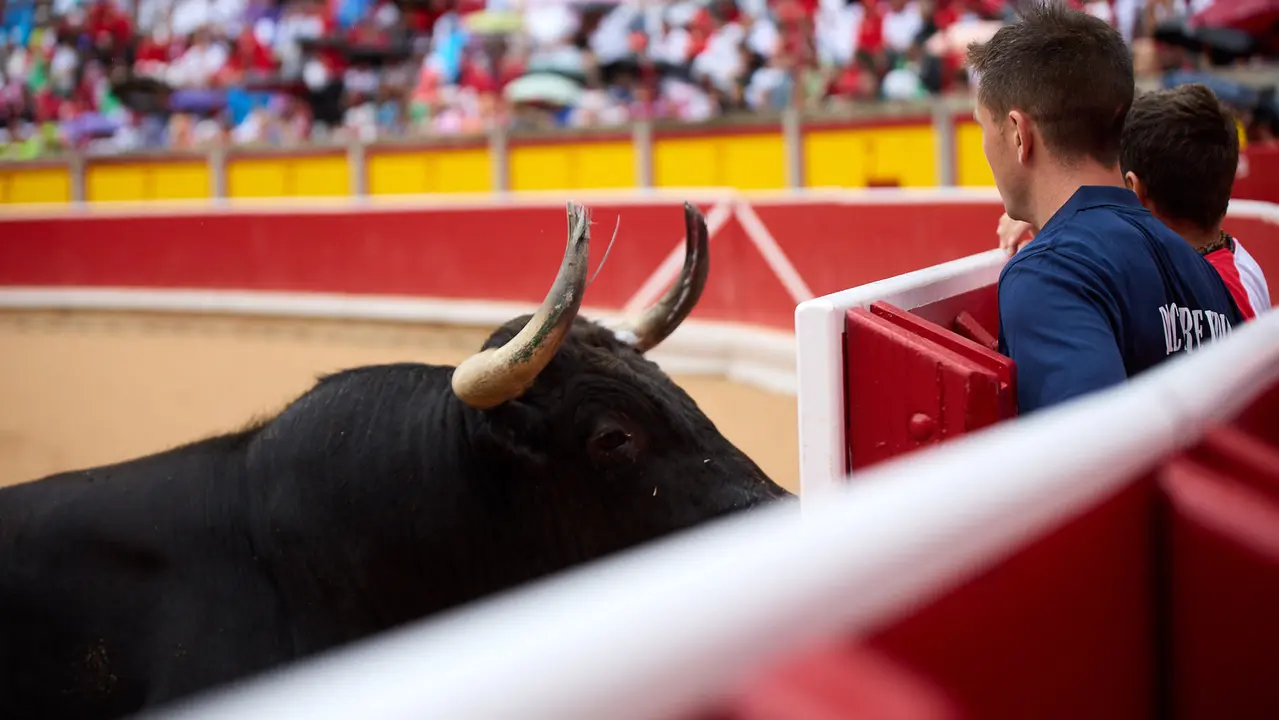 Concurso de Recortadores de San Fermín 2025 en la Plaza de Toros de Pamplona. IÑIGO ALZUGARAY