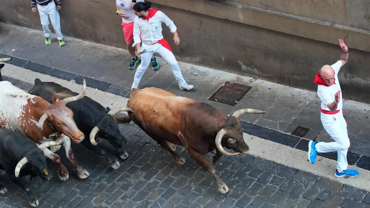 Séptimo encierro de San Fermín 2025 el día 13 de julio con toros de La Palmosilla en Santo Domingo. EFE - AINHOA TEJERINA (2)