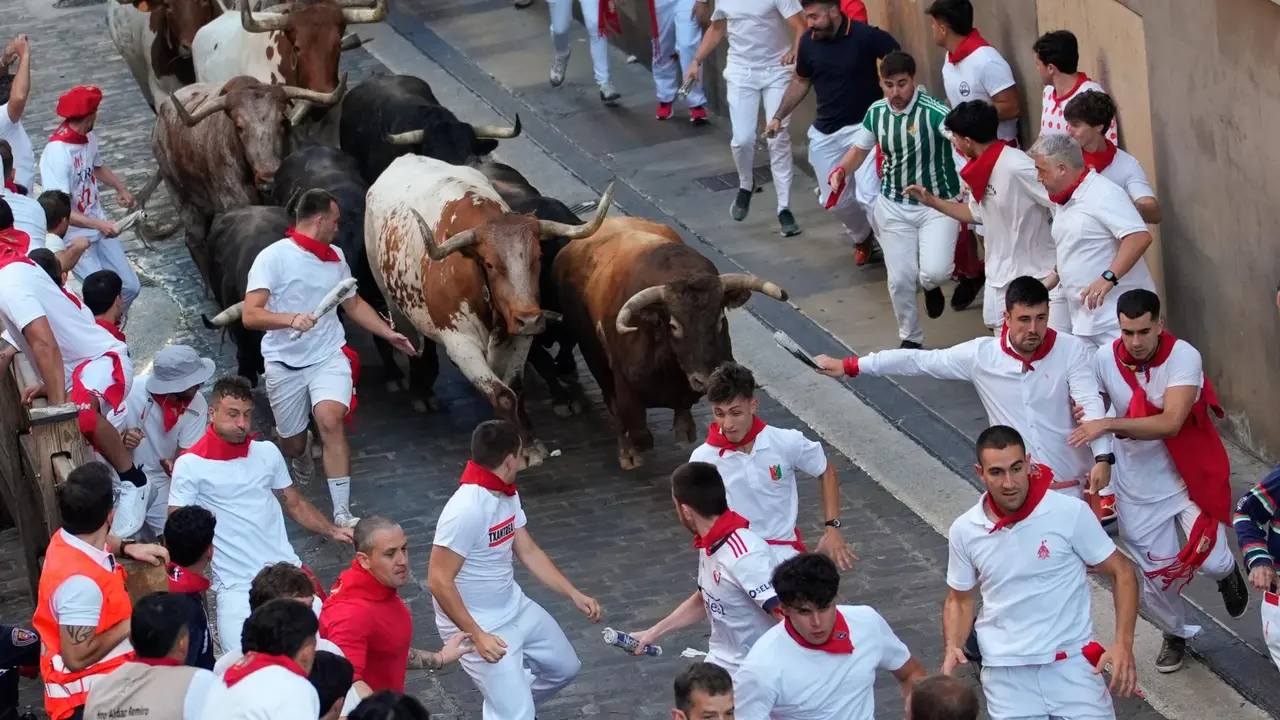 Séptimo encierro de San Fermín 2025 el día 13 de julio con toros de La Palmosilla en Santo Domingo. EFE - AINHOA TEJERINA (3)