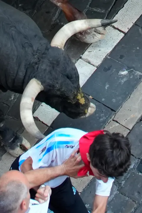 Séptimo encierro de San Fermín 2025 el día 13 de julio con toros de La Palmosilla en Santo Domingo. EFE - AINHOA TEJERINA (4)