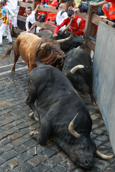 Séptimo encierro de San Fermín 2025 el día 13 de julio con toros de La Palmosilla en la curva de Mercaderes. EFE - JESÚS DIGES (3)