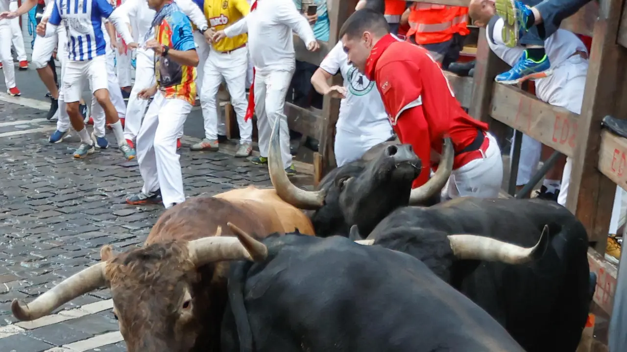 Séptimo encierro de San Fermín 2025 el día 13 de julio con toros de La Palmosilla en la curva de Mercaderes. EFE - JESÚS DIGES (8)
