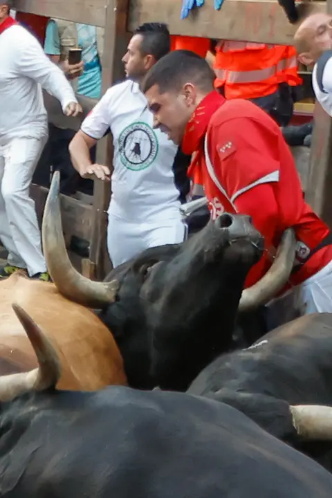 Séptimo encierro de San Fermín 2025 el día 13 de julio con toros de La Palmosilla en la curva de Mercaderes. EFE - JESÚS DIGES (10)