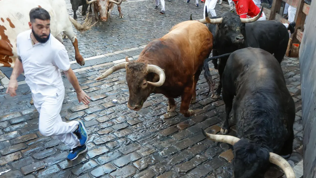 Séptimo encierro de San Fermín 2025 el día 13 de julio con toros de La Palmosilla en la curva de Mercaderes. EFE - JESÚS DIGES (11)