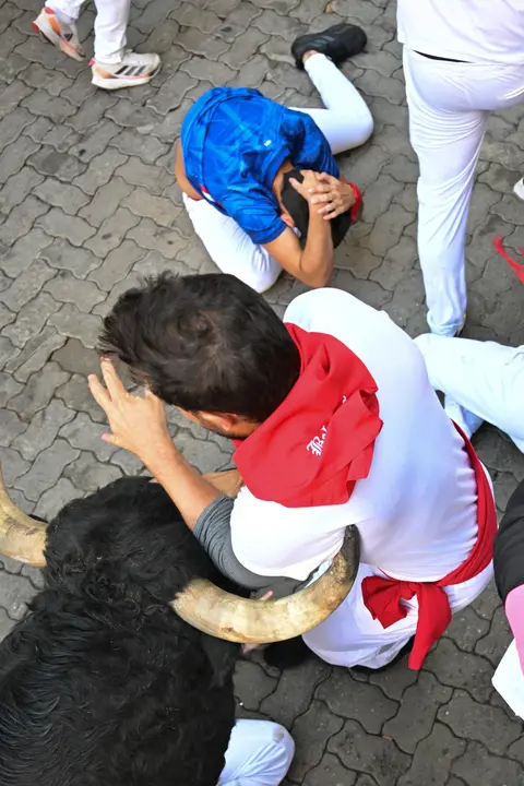 Séptimo encierro de San Fermín 2025 el día 13 de julio con toros de La Palmosilla en Telefónica. EFE - DANIEL FERNÁNDEZ (2)