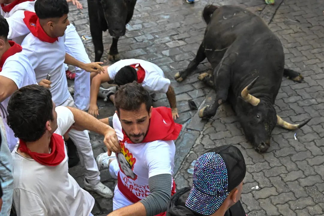 Séptimo encierro de San Fermín 2025 el día 13 de julio con toros de La Palmosilla en Telefónica. EFE - DANIEL FERNÁNDEZ (4)