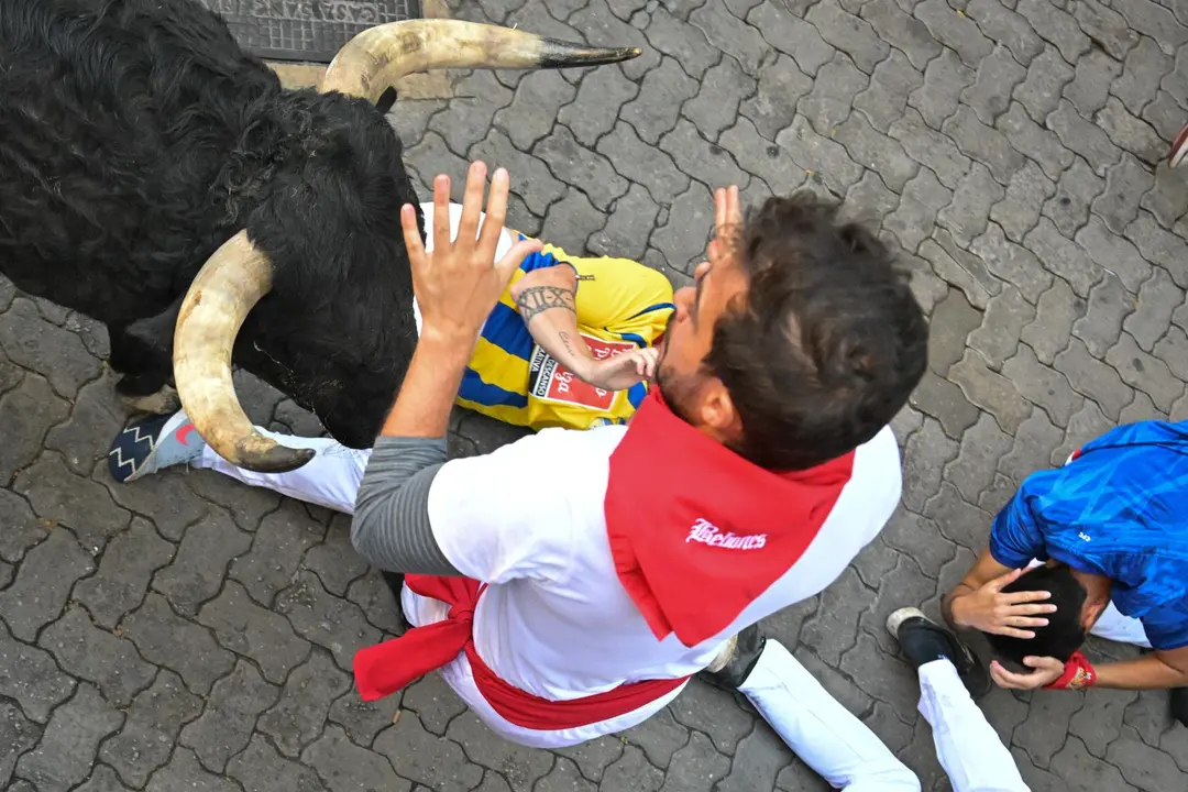 Séptimo encierro de San Fermín 2025 el día 13 de julio con toros de La Palmosilla en Telefónica. EFE - DANIEL FERNÁNDEZ (5)