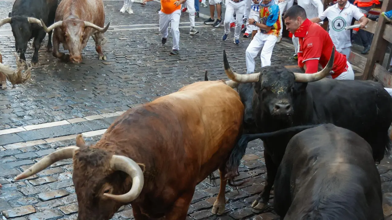 Séptimo encierro de San Fermín 2025 el día 13 de julio con toros de La Palmosilla en la curva de Mercaderes. EFE - JESÚS DIGES