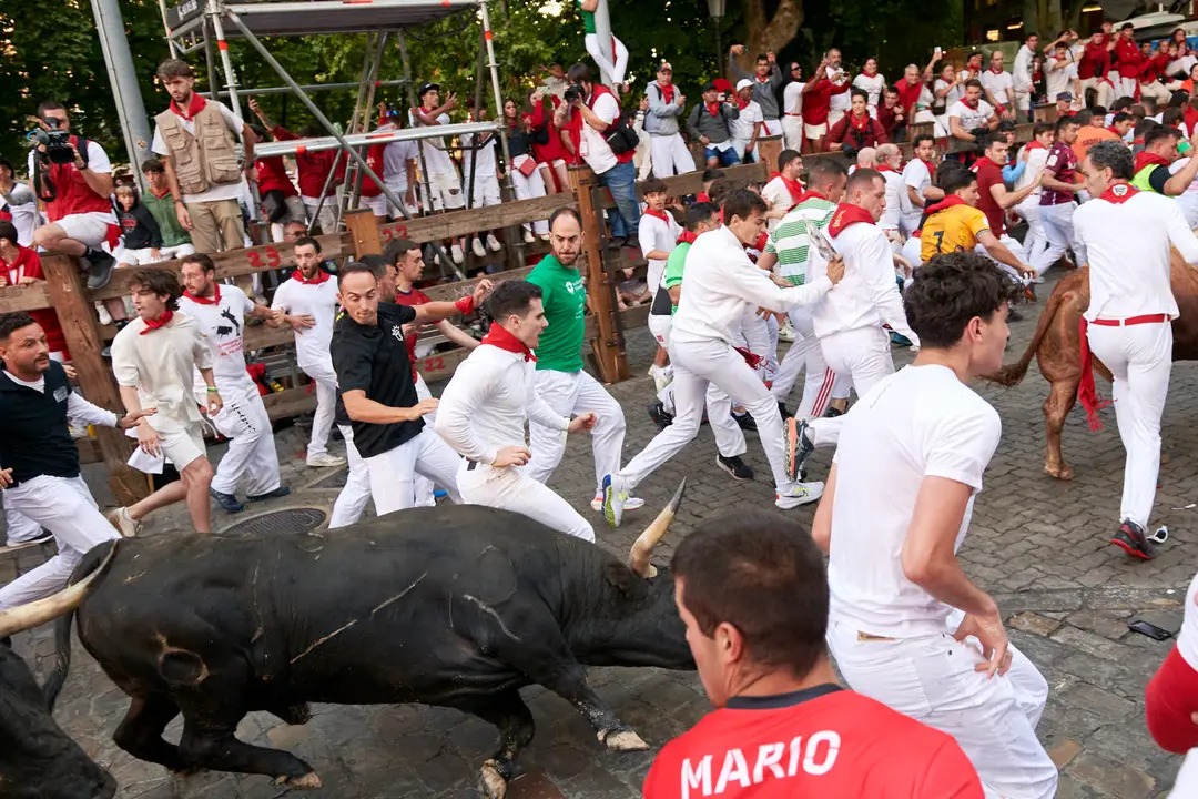 Séptimo encierro de San Fermín 2025 con toros de La Palmosilla desde Telefónica. IRANZU LARRASOAÑA