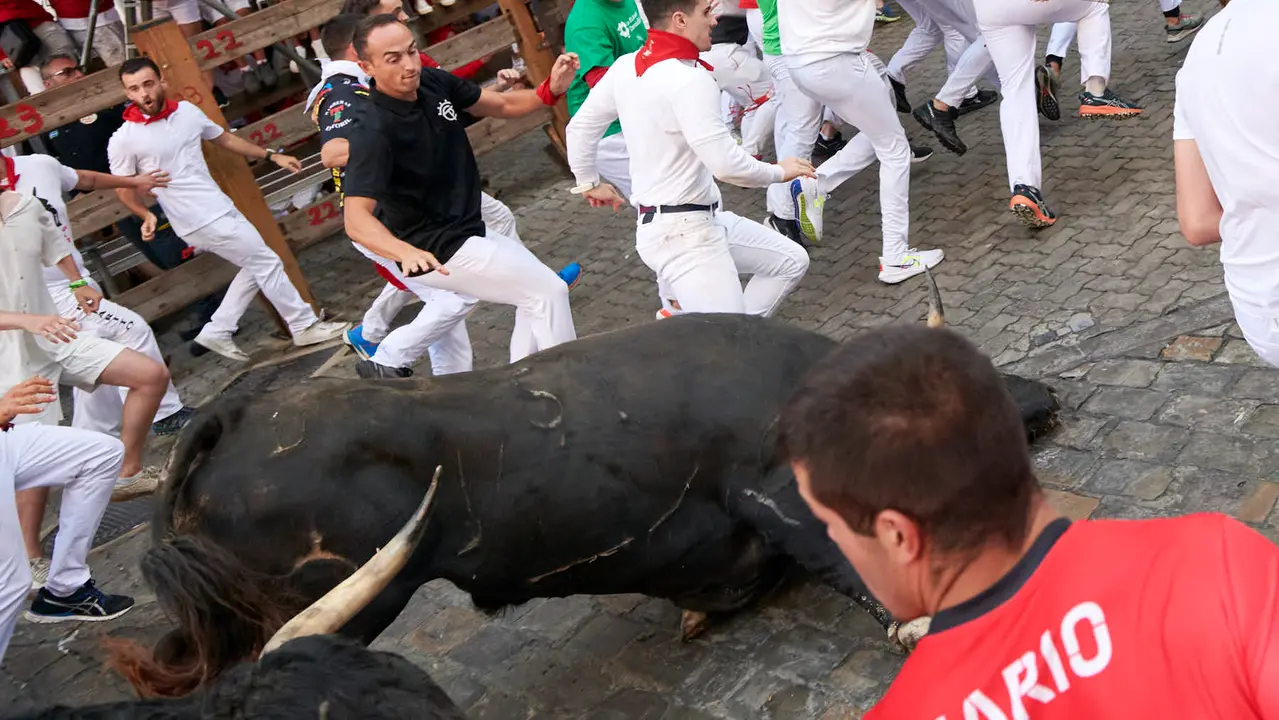 Séptimo encierro de San Fermín 2025 con toros de La Palmosilla desde Telefónica. IRANZU LARRASOAÑA