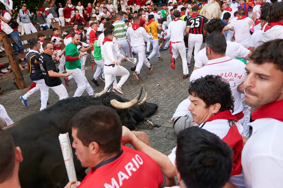 Séptimo encierro de San Fermín 2025 con toros de La Palmosilla desde Telefónica. IRANZU LARRASOAÑA