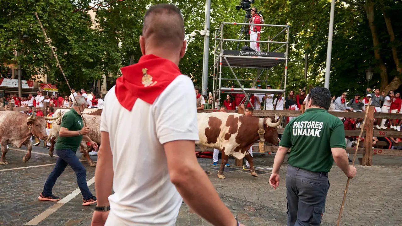 Séptimo encierro de San Fermín 2025 con toros de La Palmosilla desde Telefónica. IRANZU LARRASOAÑA