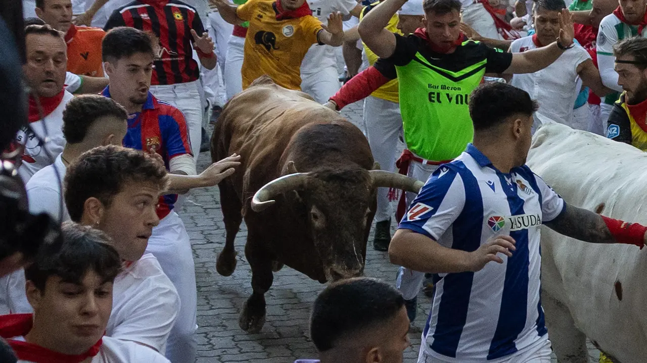 Séptimo encierro de San Fermín con toros de la Palmosilla en bajada callejón.Maite H. Mateo..-01