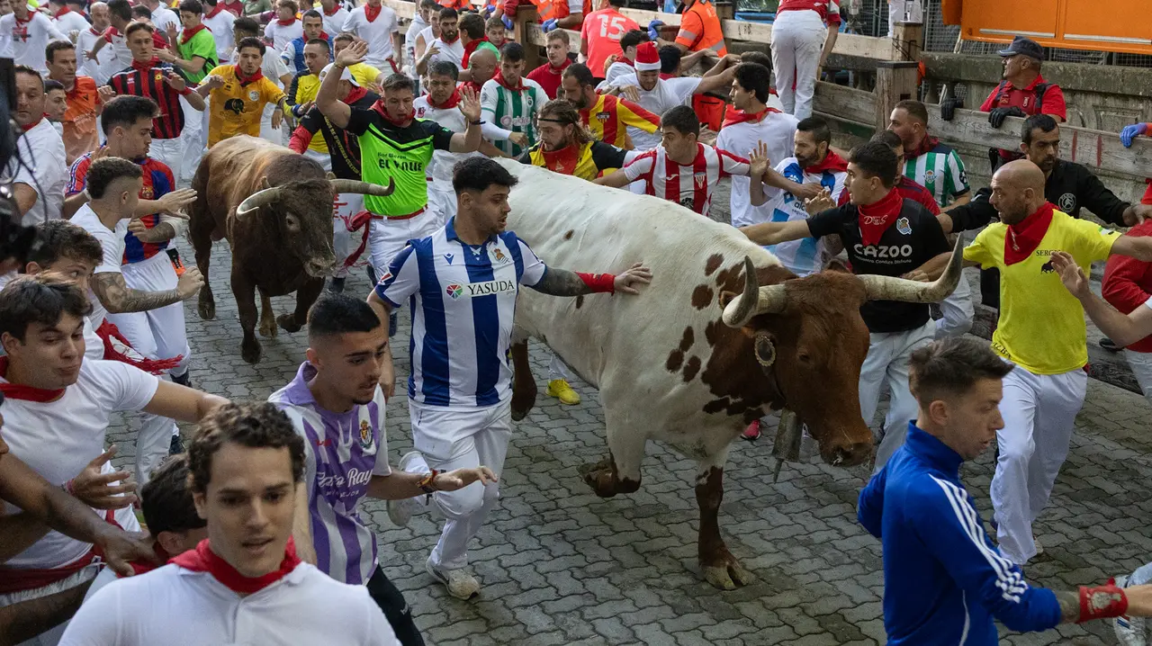 Séptimo encierro de San Fermín con toros de la Palmosilla en bajada callejón.Maite H. Mateo..-02
