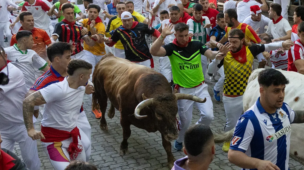 Séptimo encierro de San Fermín con toros de la Palmosilla en bajada callejón.Maite H. Mateo..-03