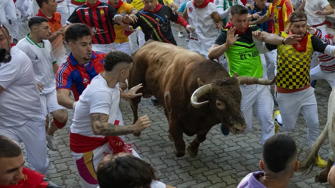 Séptimo encierro de San Fermín con toros de la Palmosilla en bajada callejón.Maite H. Mateo..-04