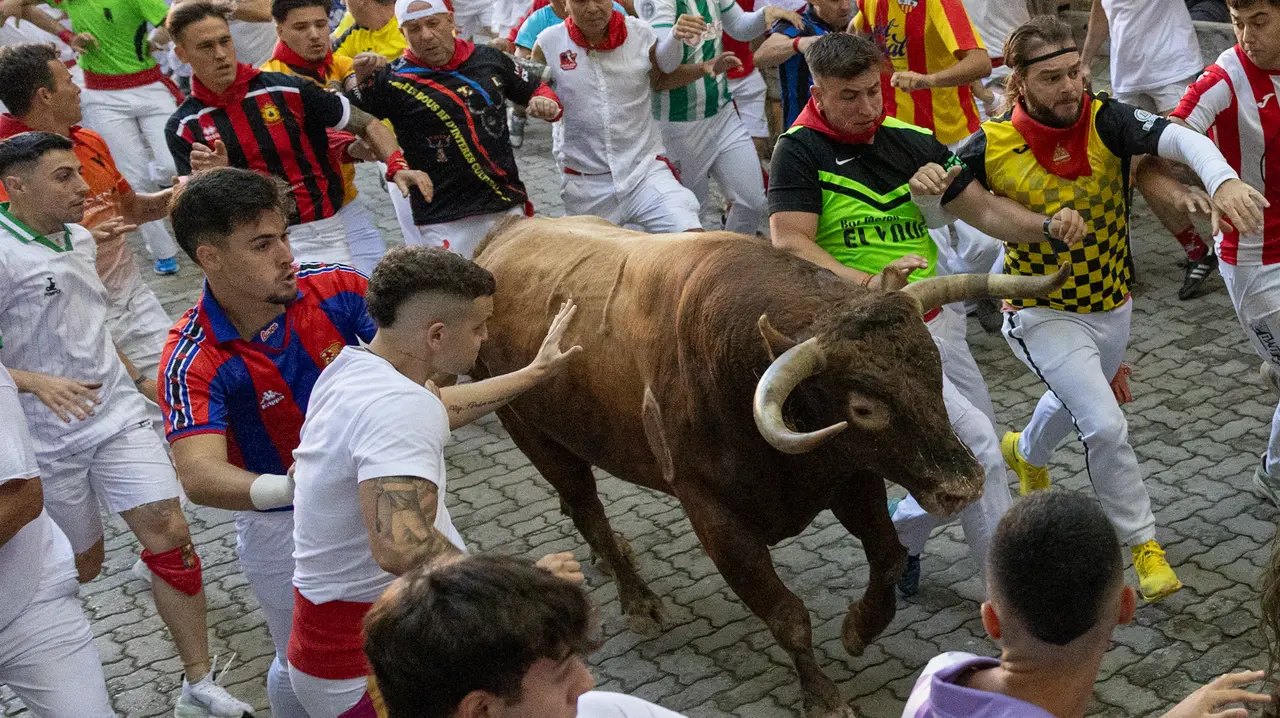 Séptimo encierro de San Fermín con toros de la Palmosilla en bajada callejón.Maite H. Mateo..-05
