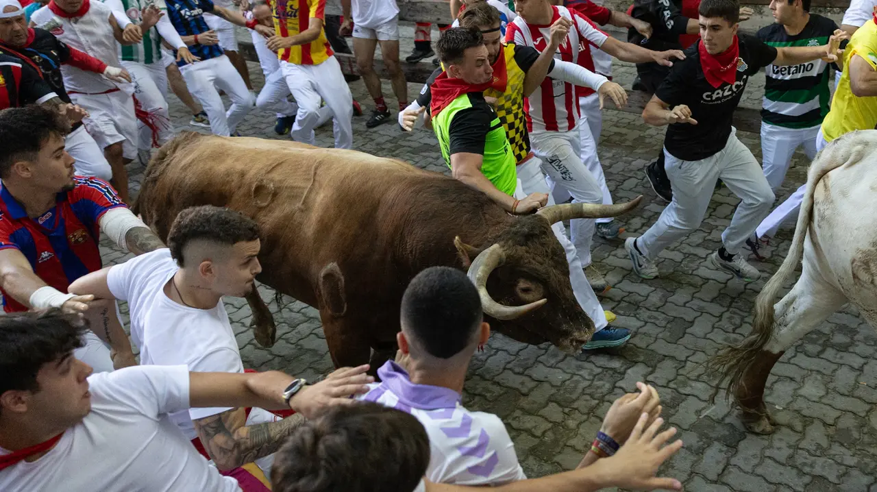 Séptimo encierro de San Fermín con toros de la Palmosilla en bajada callejón.Maite H. Mateo..-06