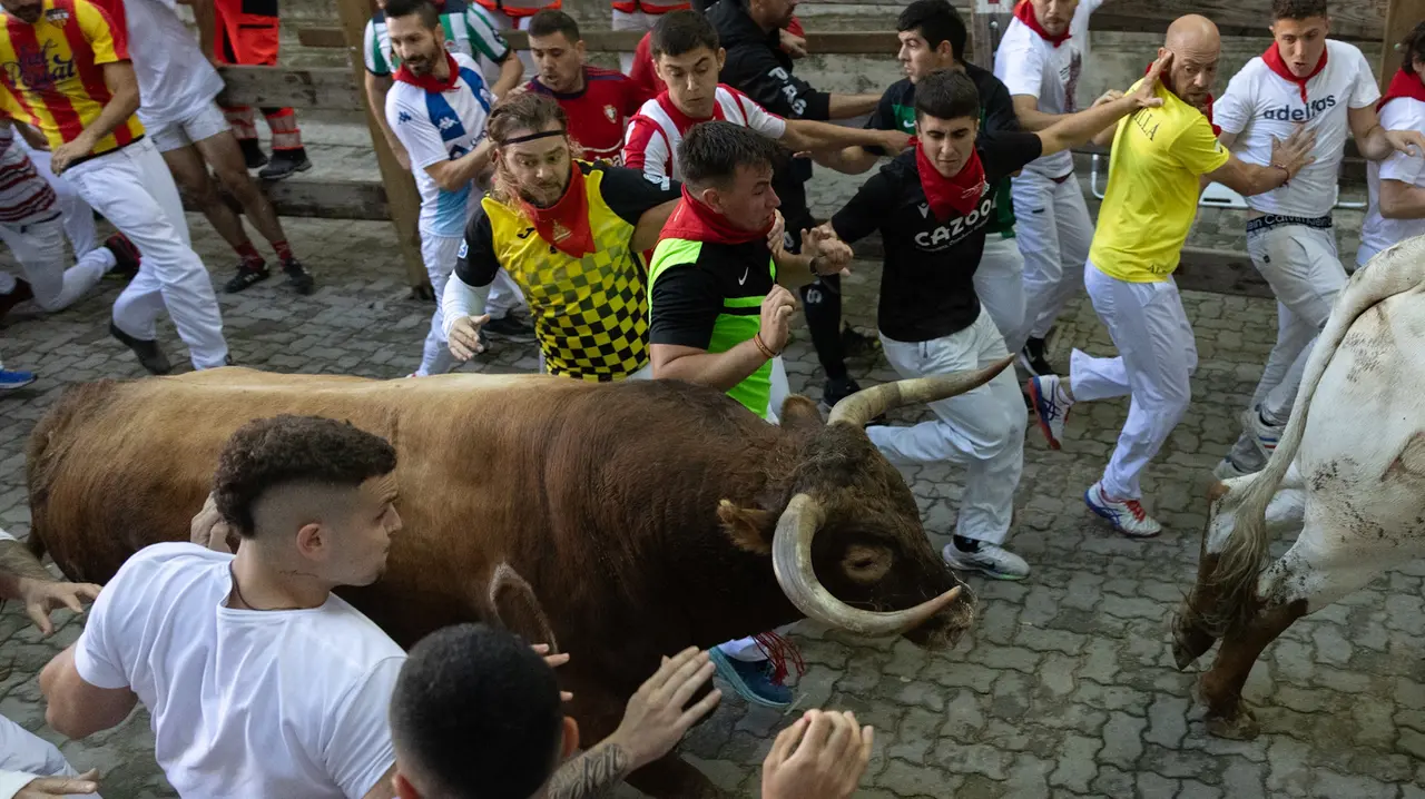 Séptimo encierro de San Fermín con toros de la Palmosilla en bajada callejón.Maite H. Mateo..-07