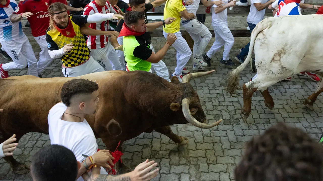 Séptimo encierro de San Fermín con toros de la Palmosilla en bajada callejón.Maite H. Mateo..-08