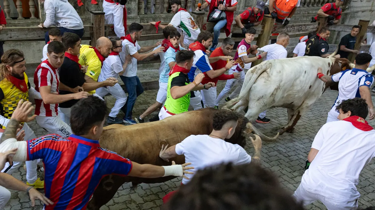 Séptimo encierro de San Fermín con toros de la Palmosilla en bajada callejón.Maite H. Mateo..-09