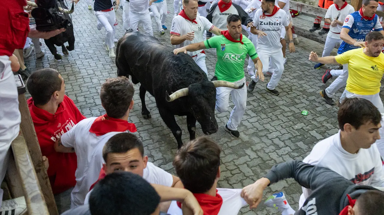 Séptimo encierro de San Fermín con toros de la Palmosilla en bajada callejón.Maite H. Mateo..-14