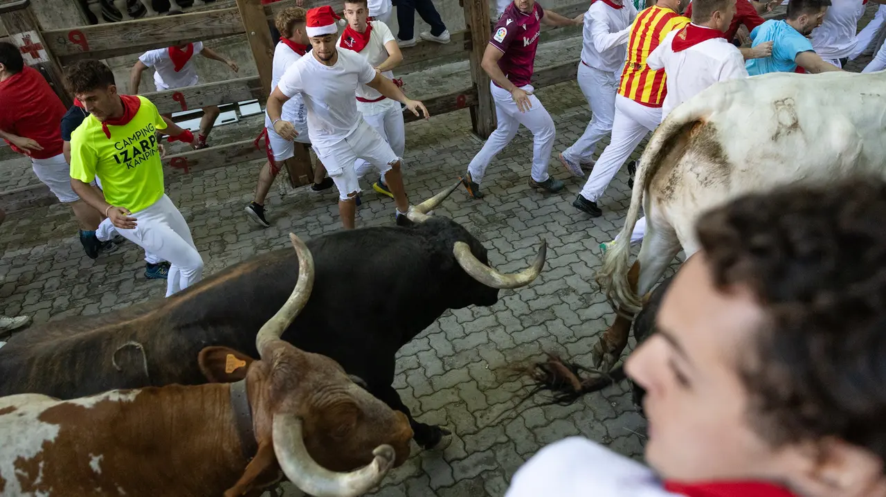 Séptimo encierro de San Fermín con toros de la Palmosilla en bajada callejón.Maite H. Mateo..-22