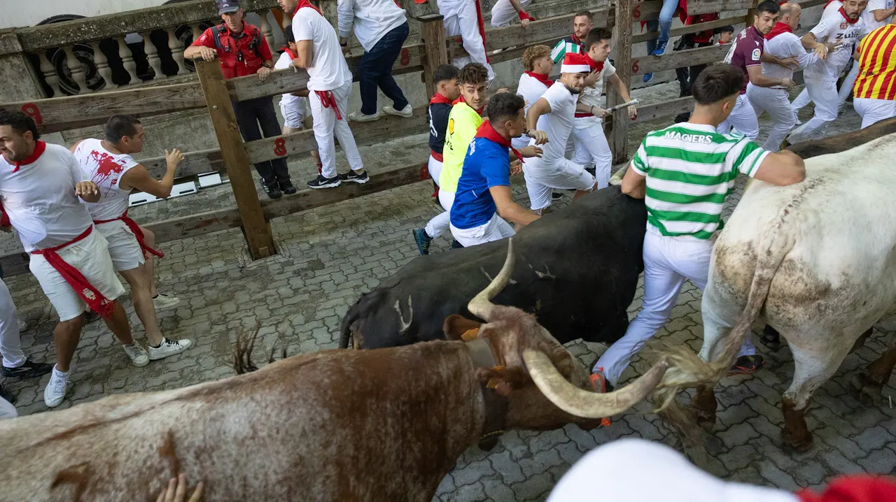 Séptimo encierro de San Fermín con toros de la Palmosilla en bajada callejón.Maite H. Mateo..-26