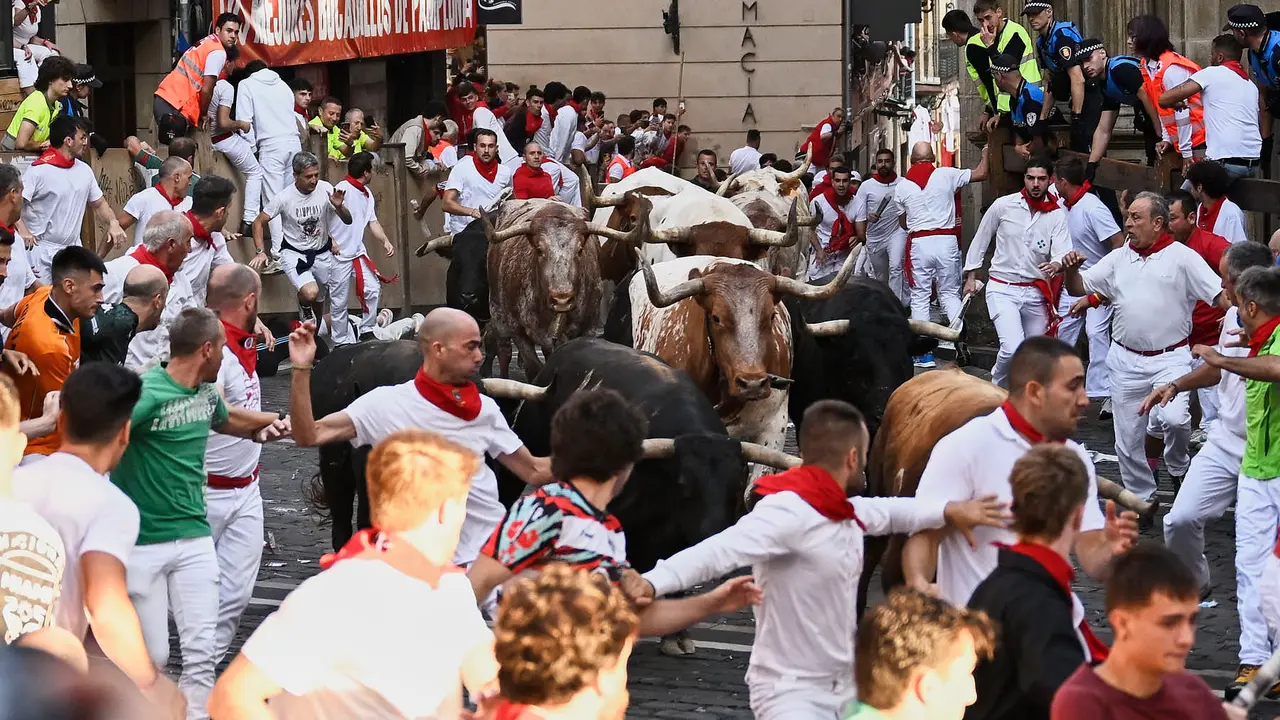 Séptimo encierro de San Fermín 2025 con toros de La Palmosilla en el Ayuntamiento. PABLO LASAOSA