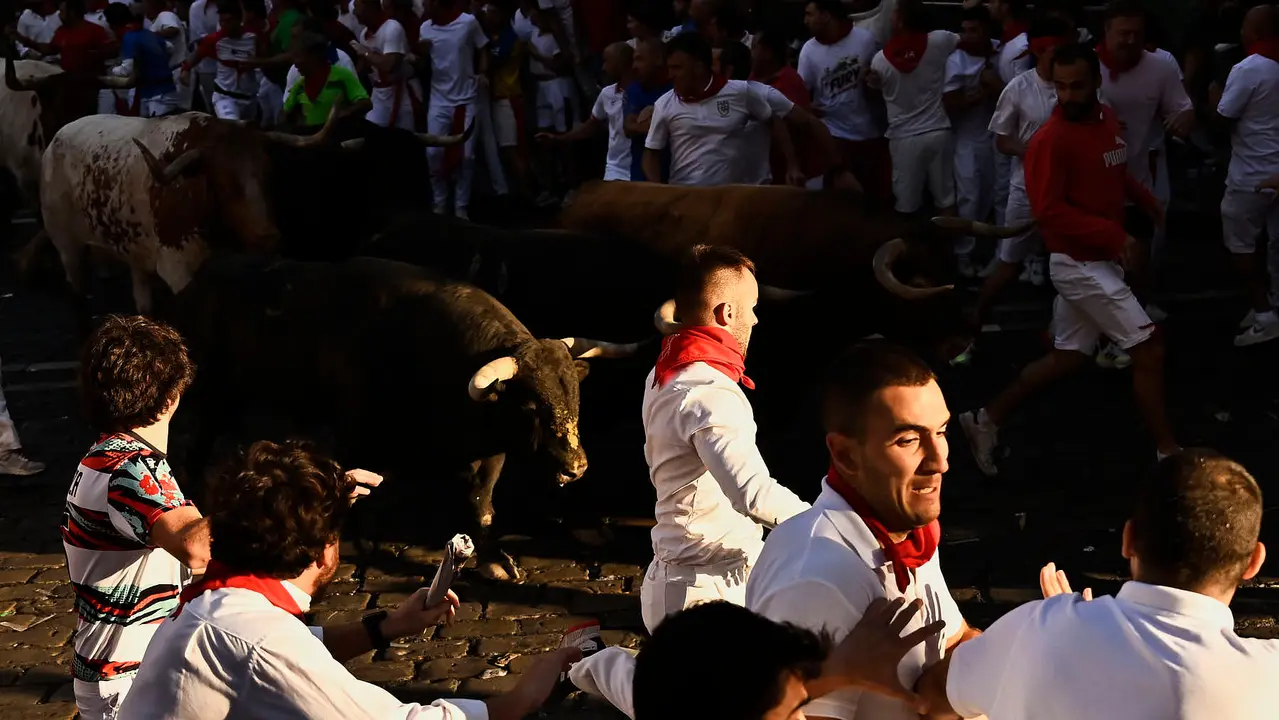 Séptimo encierro de San Fermín 2025 con toros de La Palmosilla en el Ayuntamiento. PABLO LASAOSA