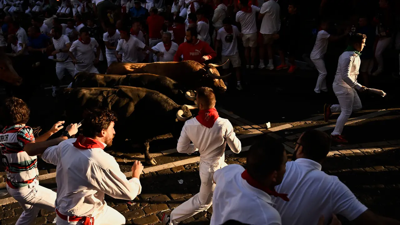 Séptimo encierro de San Fermín 2025 con toros de La Palmosilla en el Ayuntamiento. PABLO LASAOSA