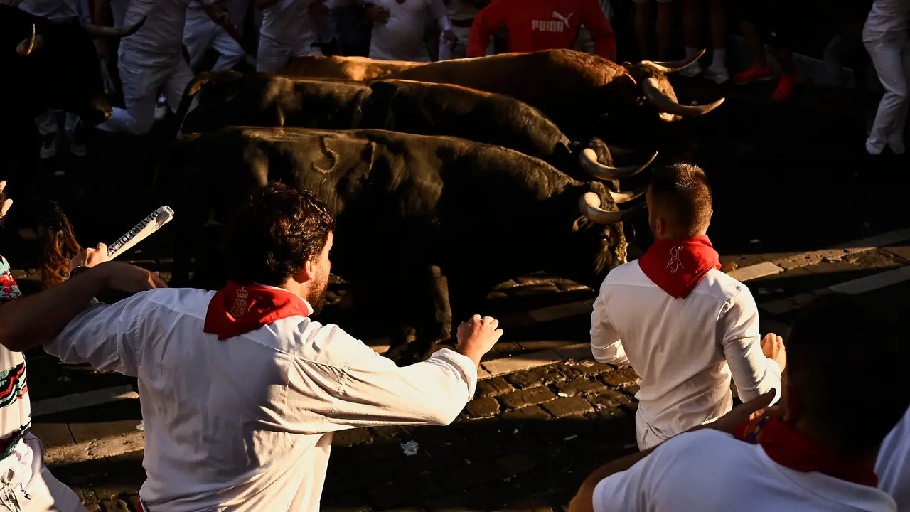 Séptimo encierro de San Fermín 2025 con toros de La Palmosilla en el Ayuntamiento. PABLO LASAOSA