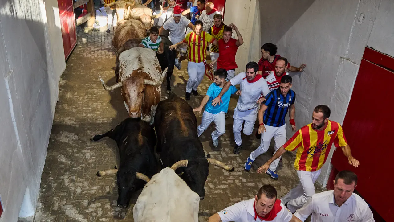 Séptimo encierro de San Fermín 2025 con toros de la ganadería de La Palmosilla en el tramo del callejón y la entrada a la Plaza de Toros. IÑIGO ALZUGARAY